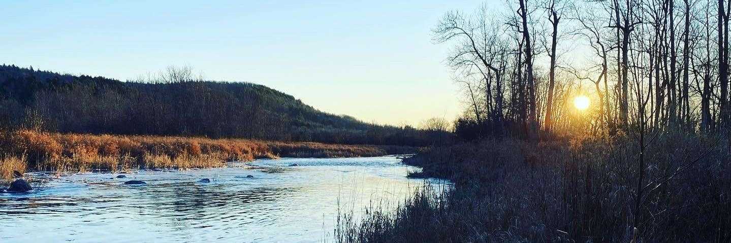 Lisa Merrithew banner