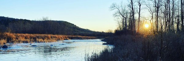 LisaMerrithew Profile Banner