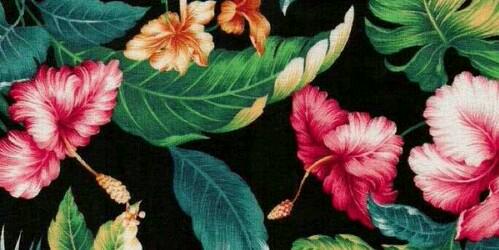 GuadySAguirre's profile banner image