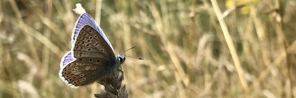 James__Gale Profile Banner