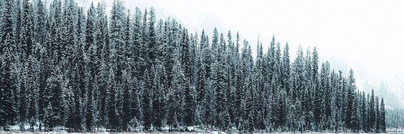 c_radilla14's profile banner image