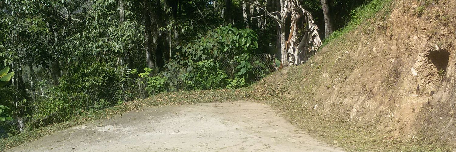 gemelaannie's profile banner image