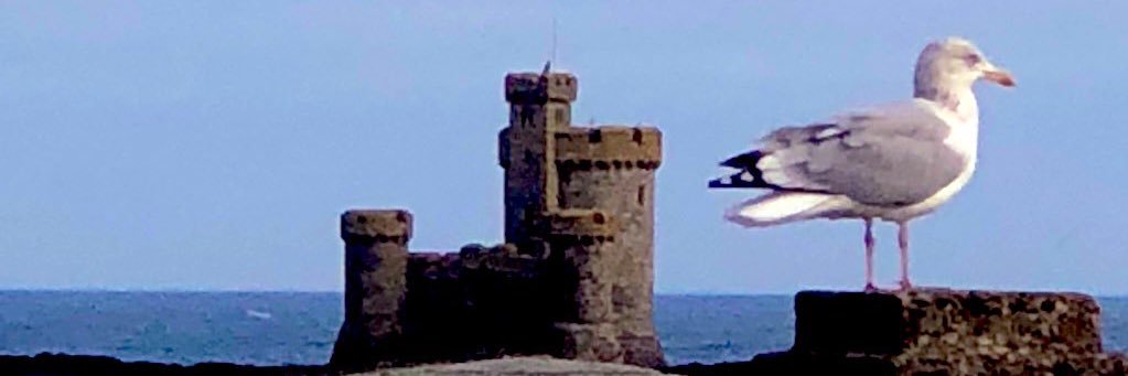 Wendy B.🇮🇲🇨🇦🌎💉🏳️‍🌈😷💉💉🐈🐈📷⭐️💕🛫🛬 banner