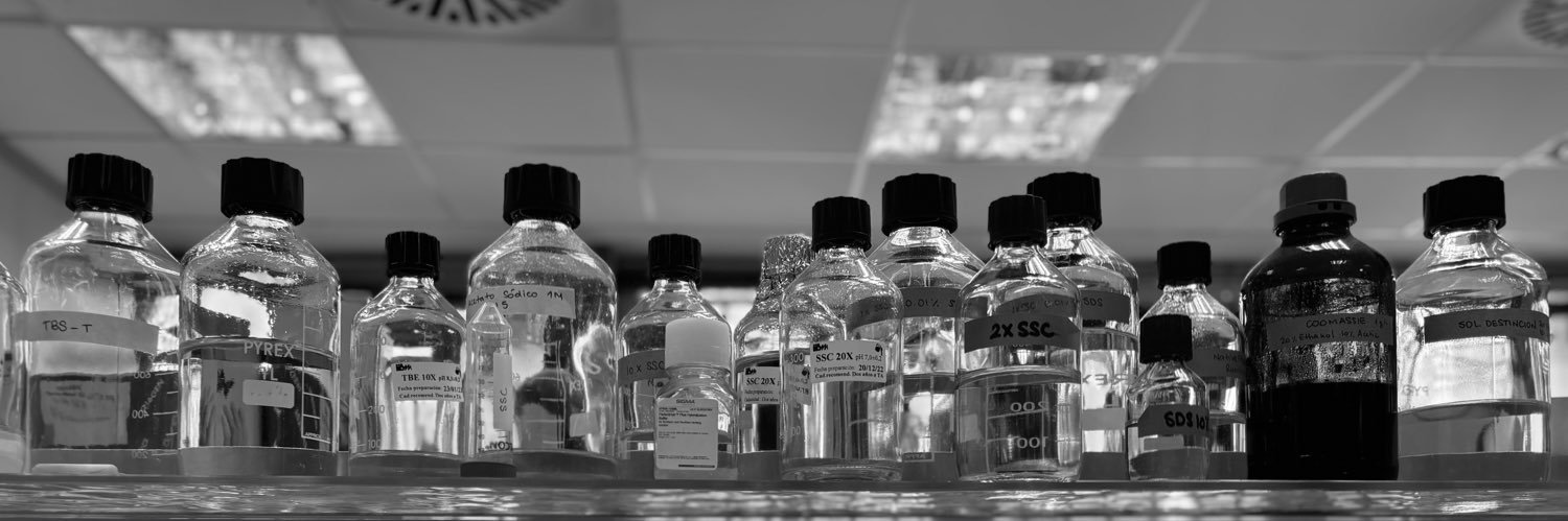 Paula Clemente banner