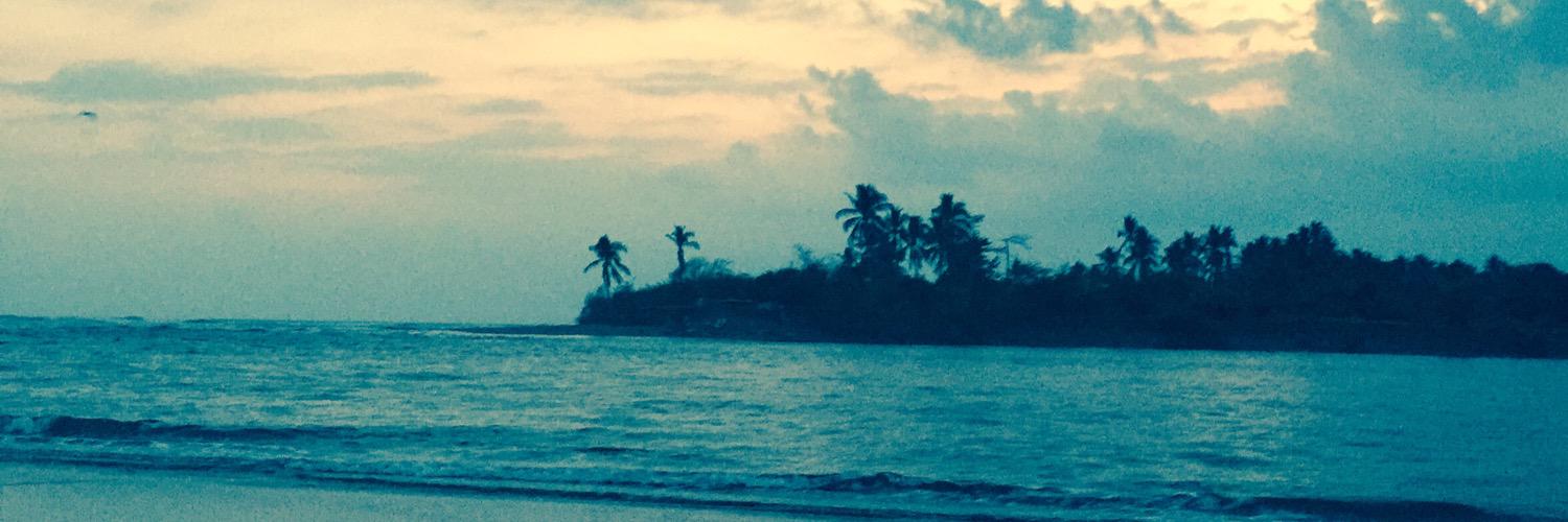 SandraLGomez1's profile banner image