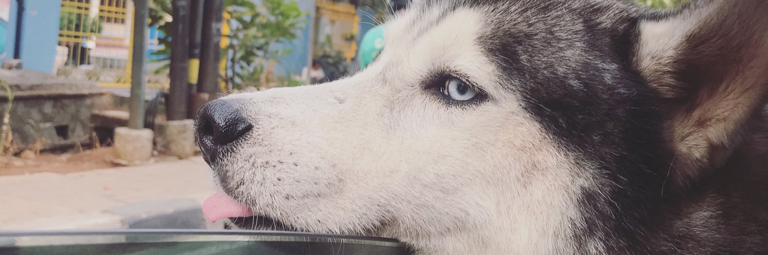 mfromekilo's profile banner image
