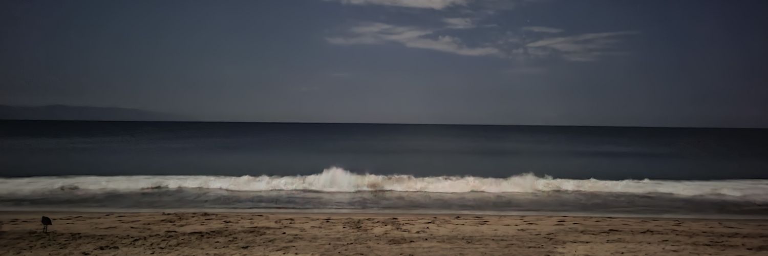mavzhz's profile banner image