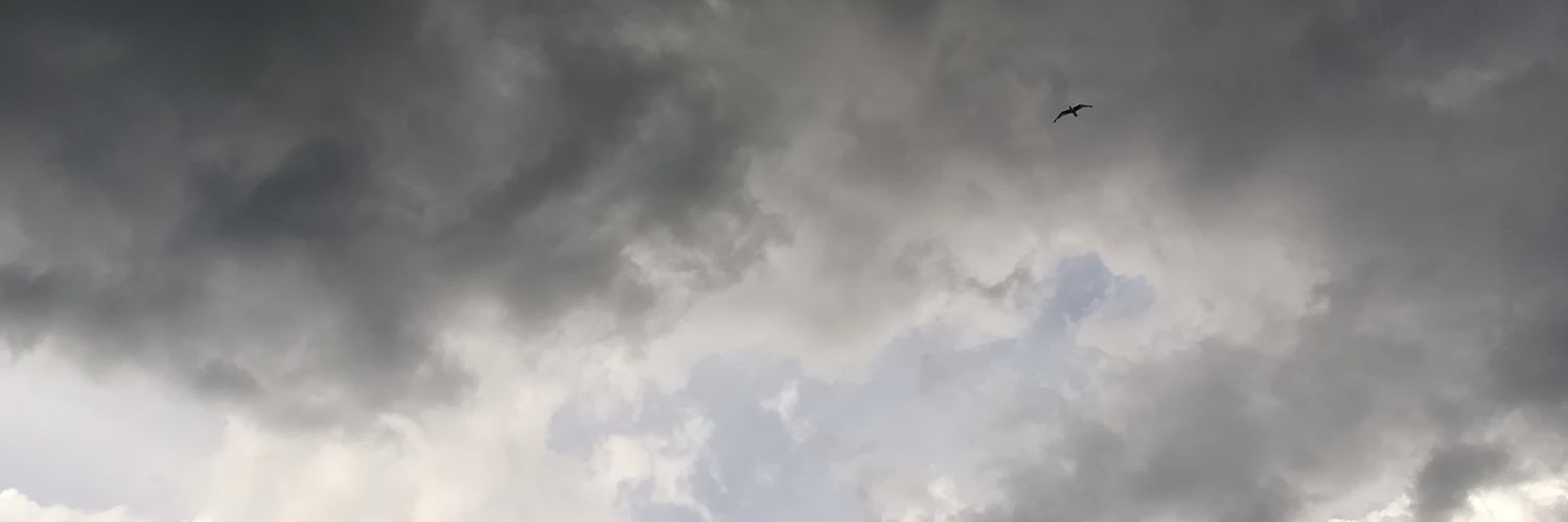 Nora_Dilane's profile banner image