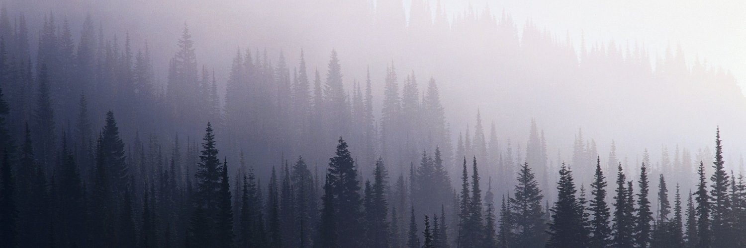 bungaatidurr's profile banner image