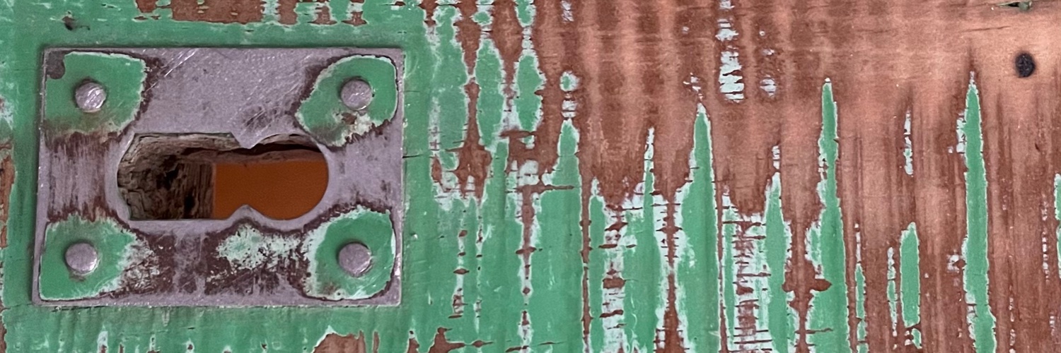 Carmen Briones banner