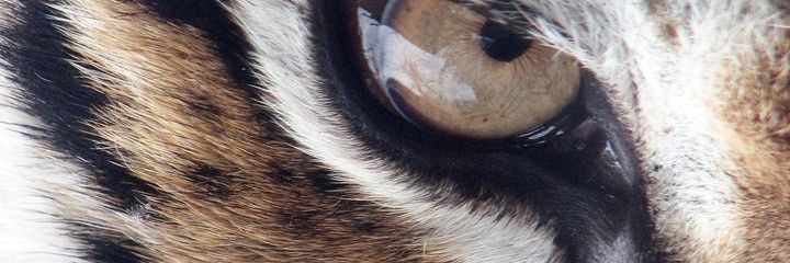 Turcios_94's profile banner image