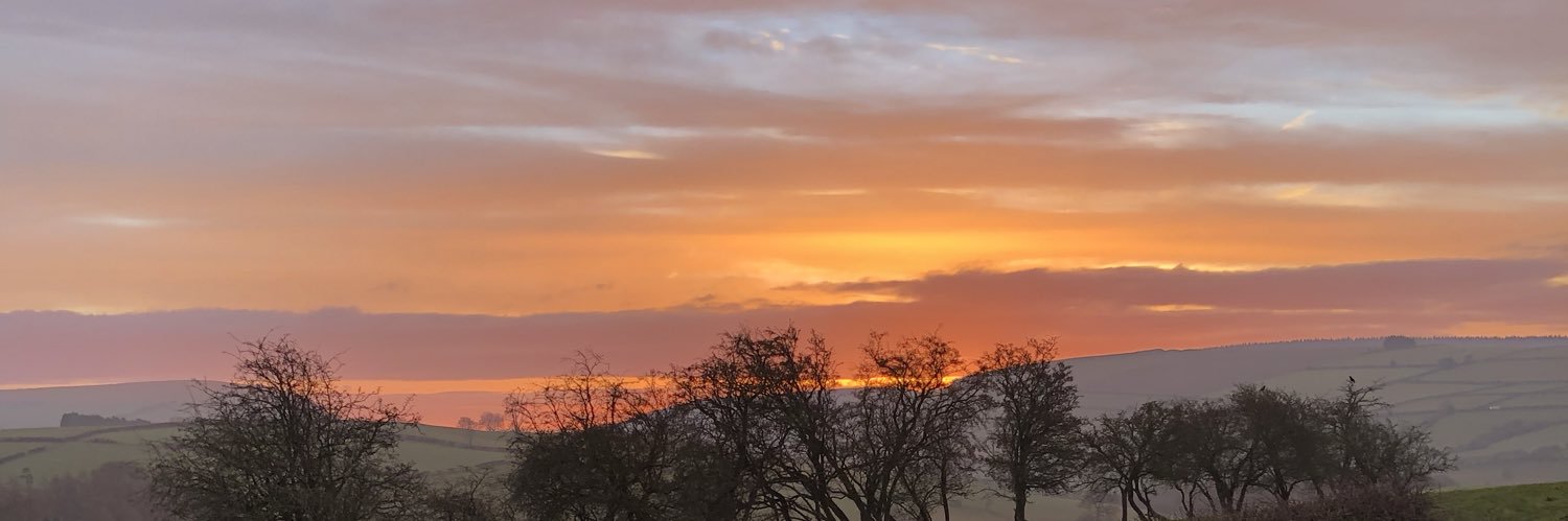rachelturusem's profile banner image