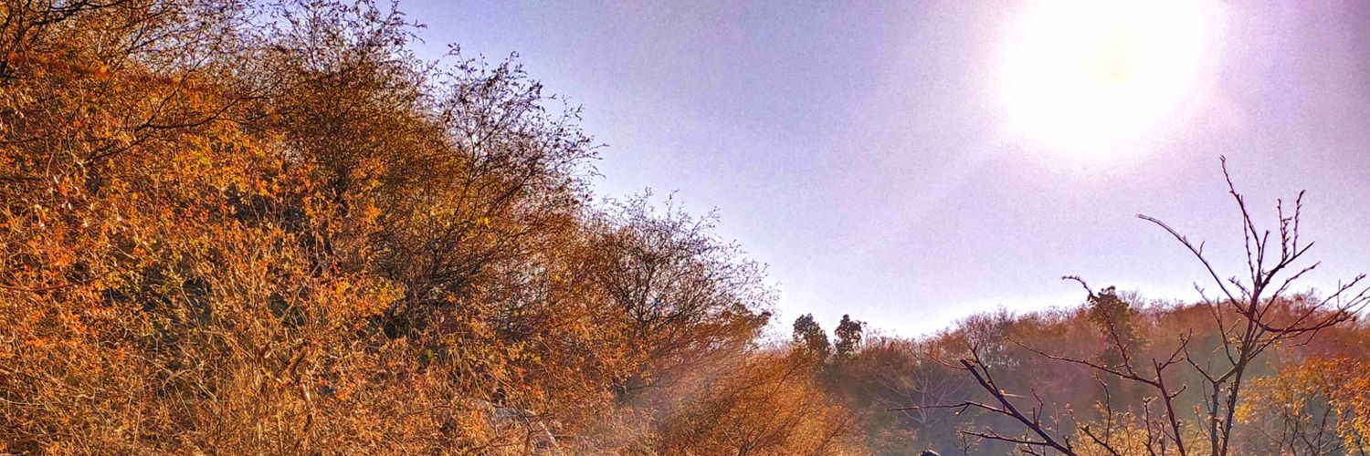 angadsadhu's profile banner image