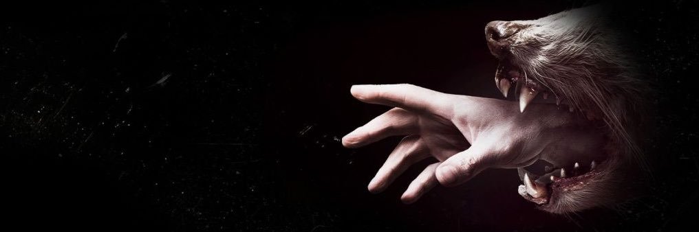 MikeHol_'s profile banner image