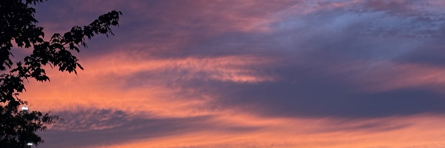 Defend Freedom banner