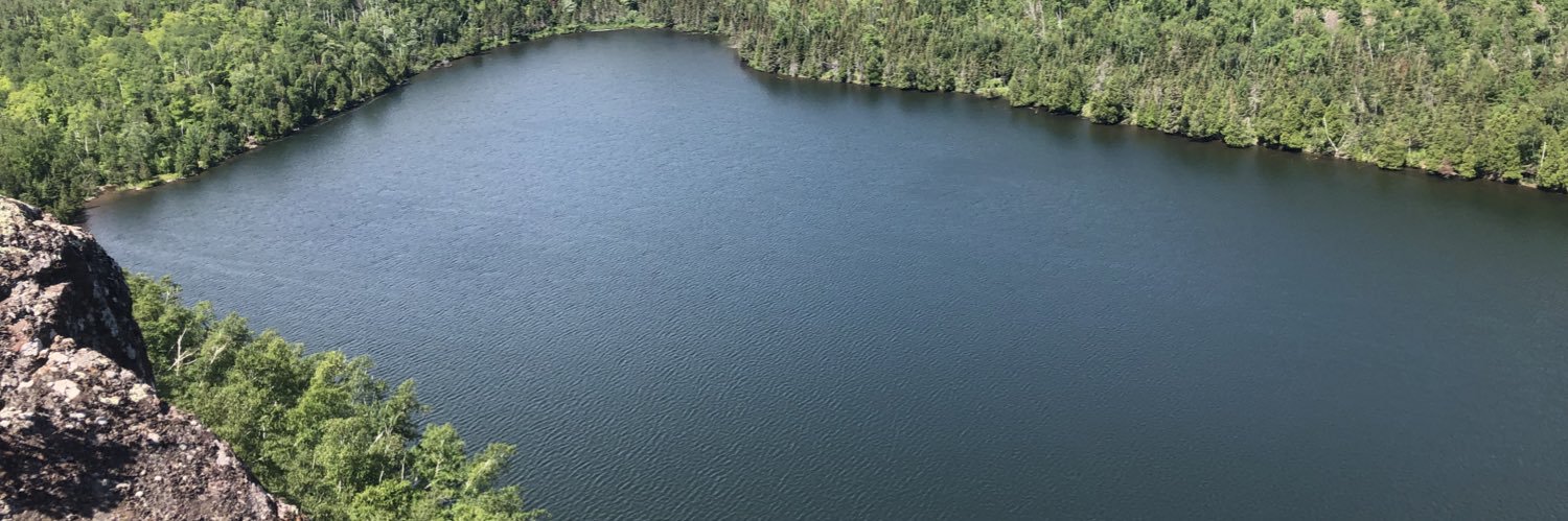 Matt Hamilton banner