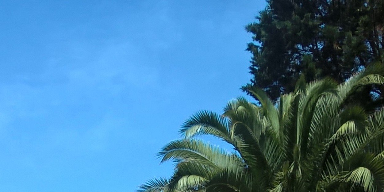 MairaPaez_'s profile banner image