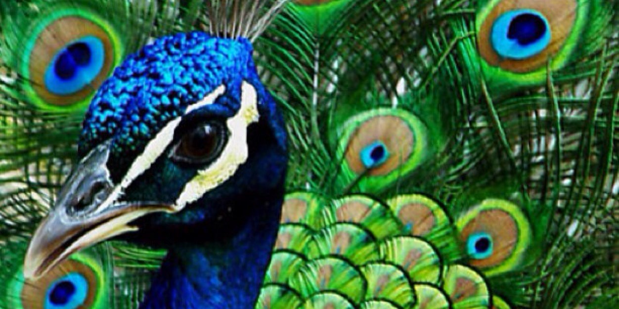 sukkar_2012's profile banner image