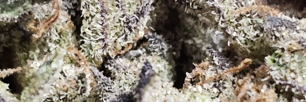 JaimeAce420 Profile Banner