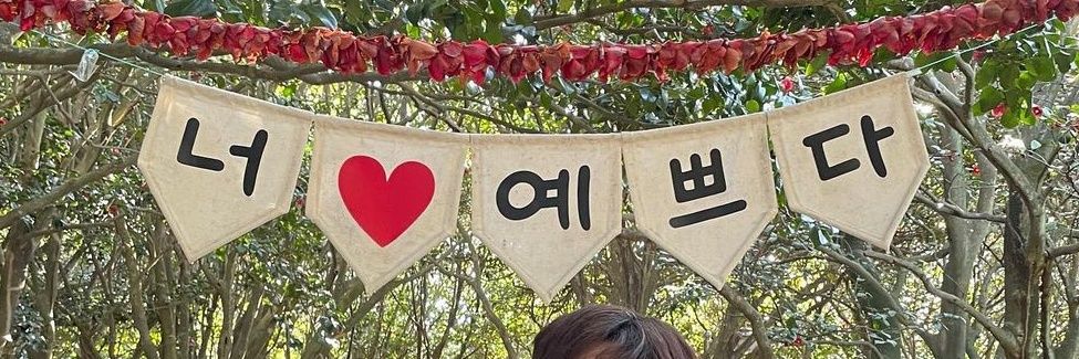 🦋1☀️/📯장총3✨️🐼16✨️➡️술애 banner