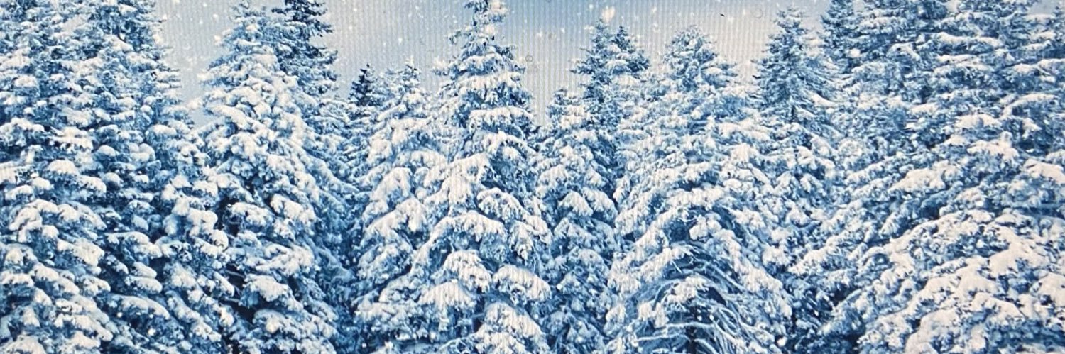 fevans98's profile banner image