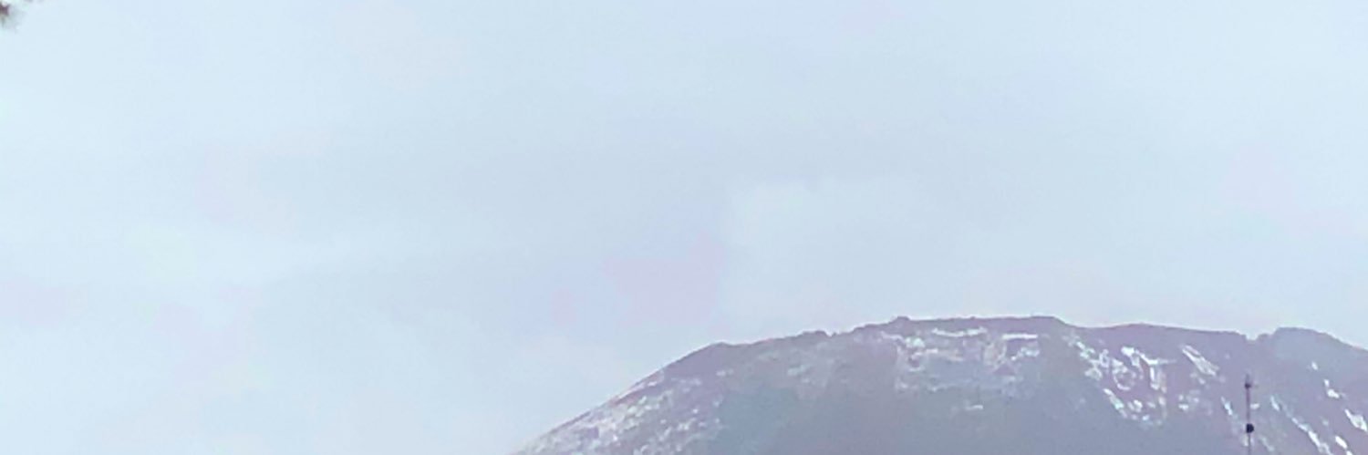 misslele2's profile banner image
