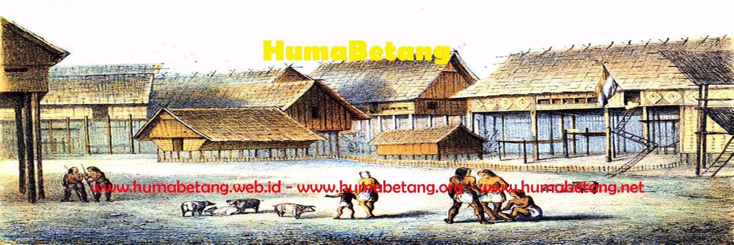 HumaBetangWeb's profile banner image