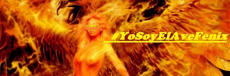 verolea7's profile banner image
