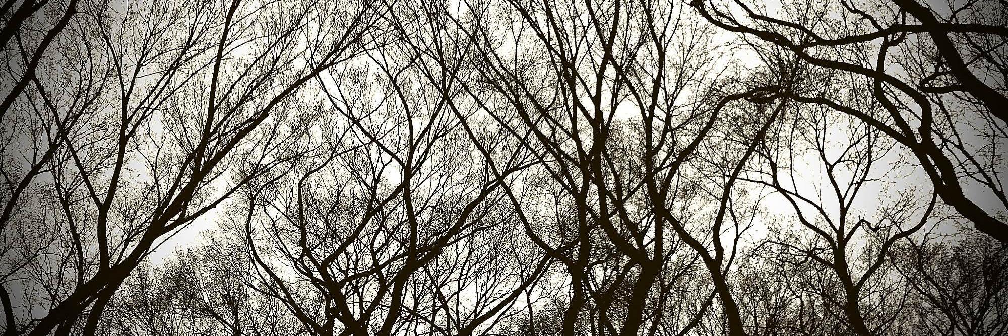 vespersband's profile banner image