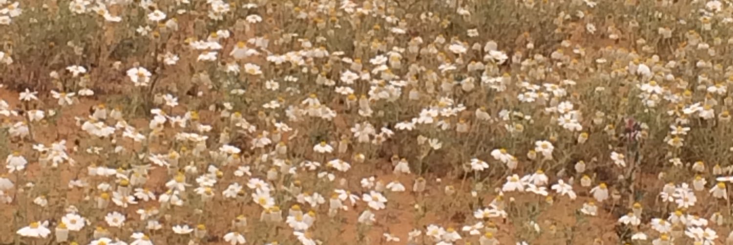 900_salh's profile banner image