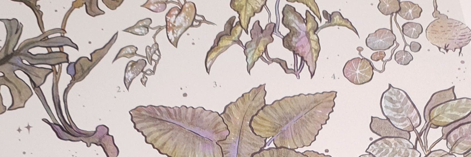 Sakimake's profile banner image