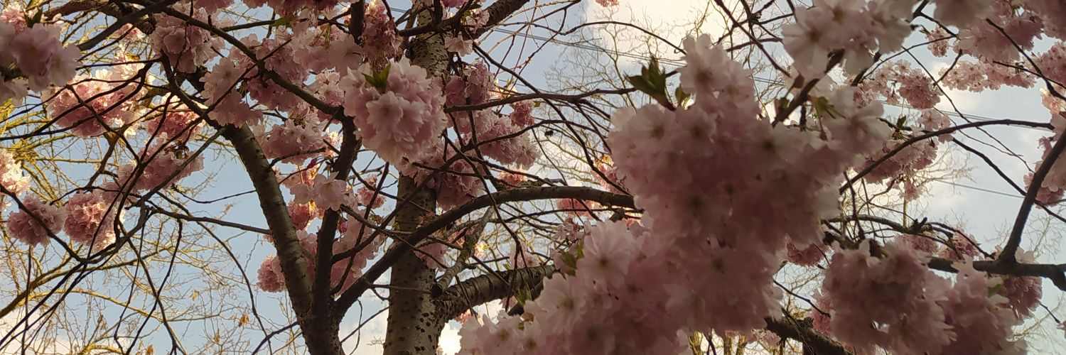 Ro_Gonzalez95's profile banner image