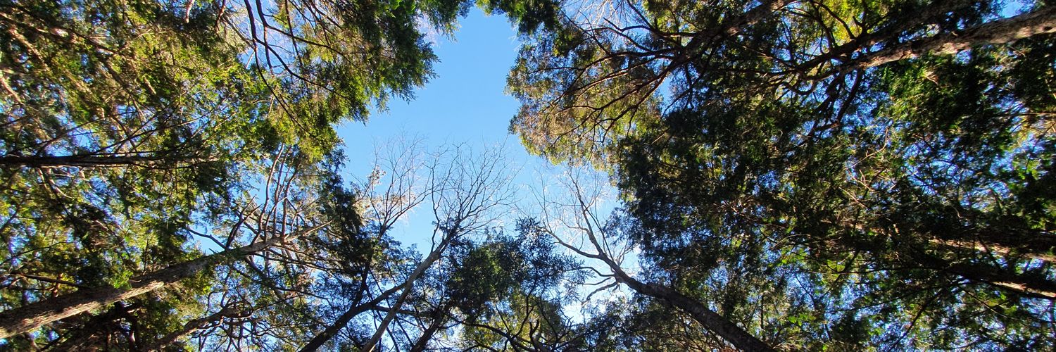 wssrrr's profile banner image
