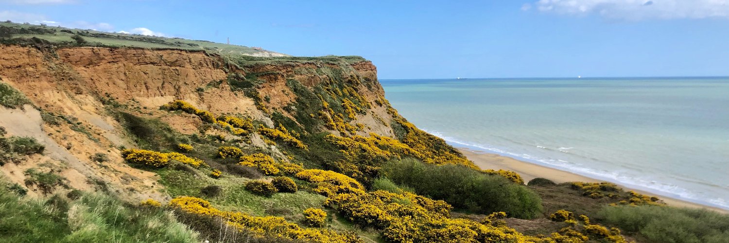 Diana Withrow banner