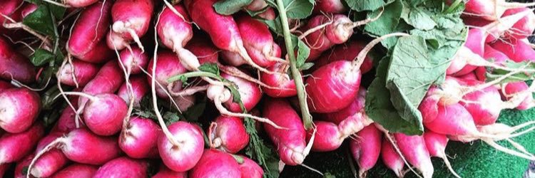 Union Sq Farmers Mkt banner