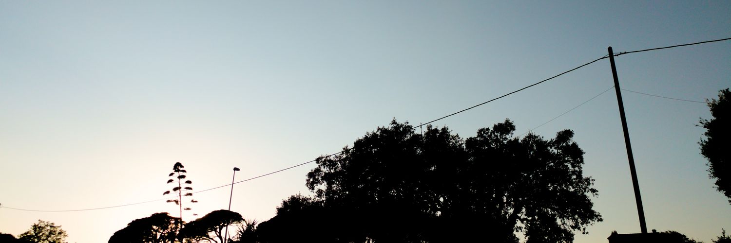 finge_ser's profile banner image