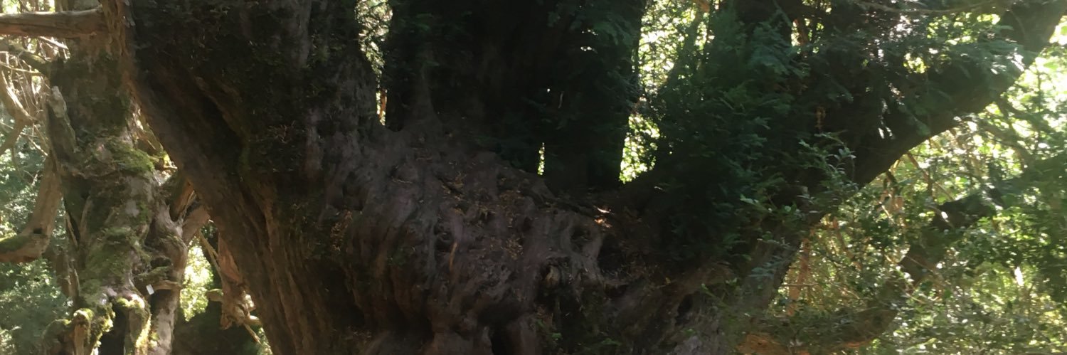 ADNI67's profile banner image