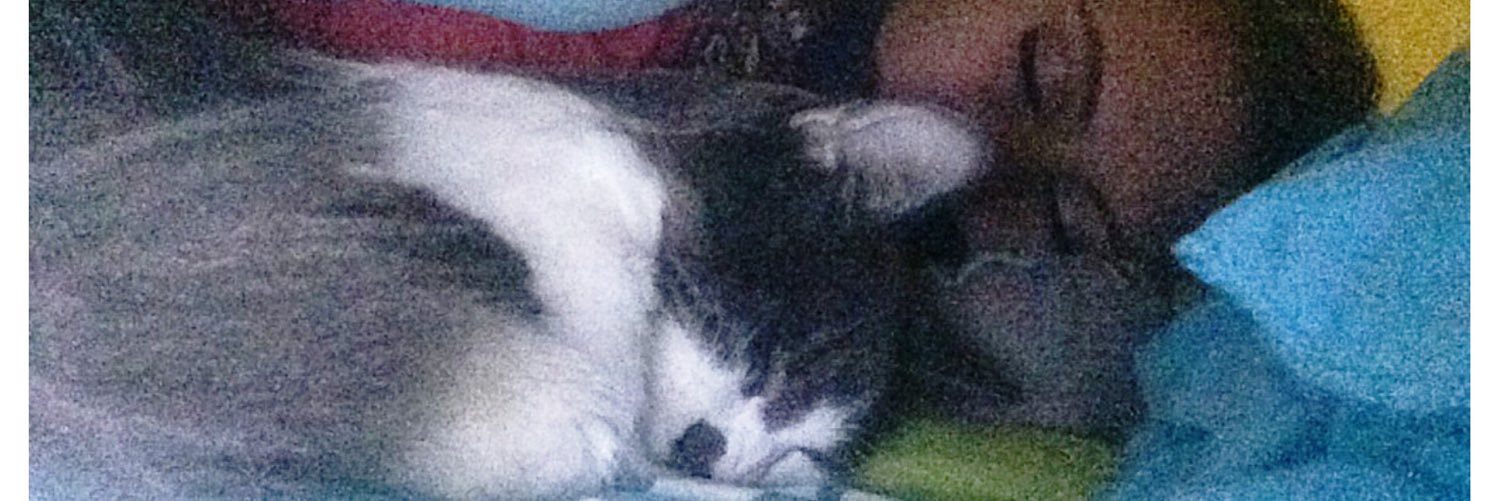 KlynneT's profile banner image