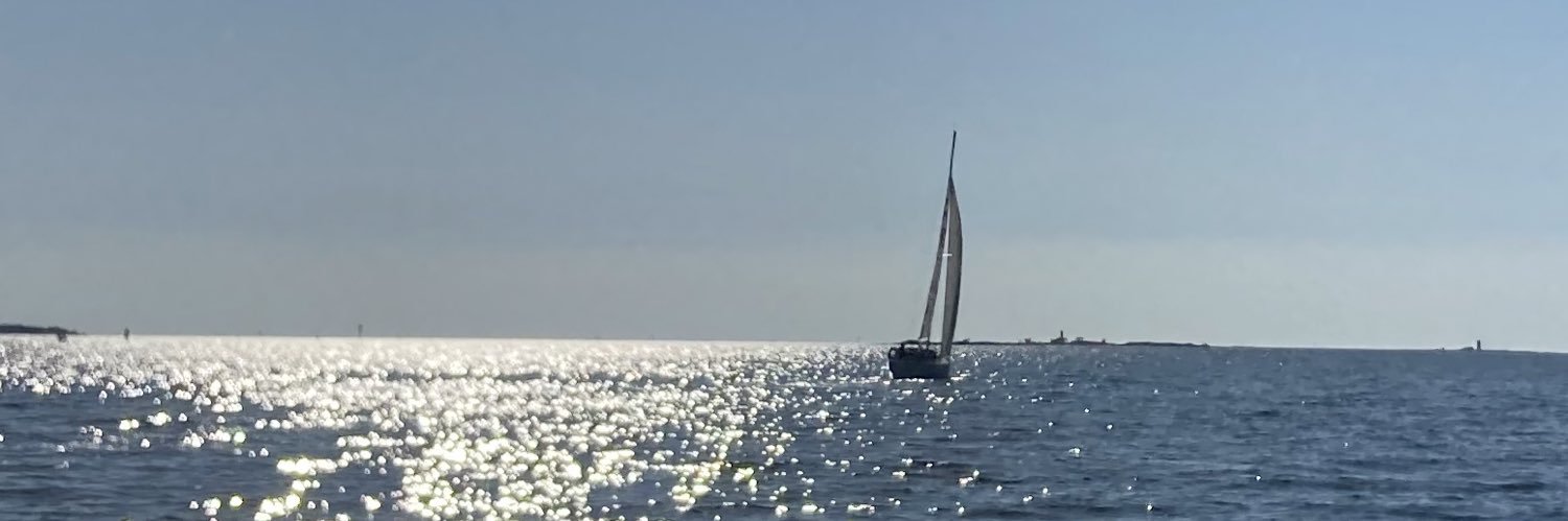 Pirkko Harrela banner