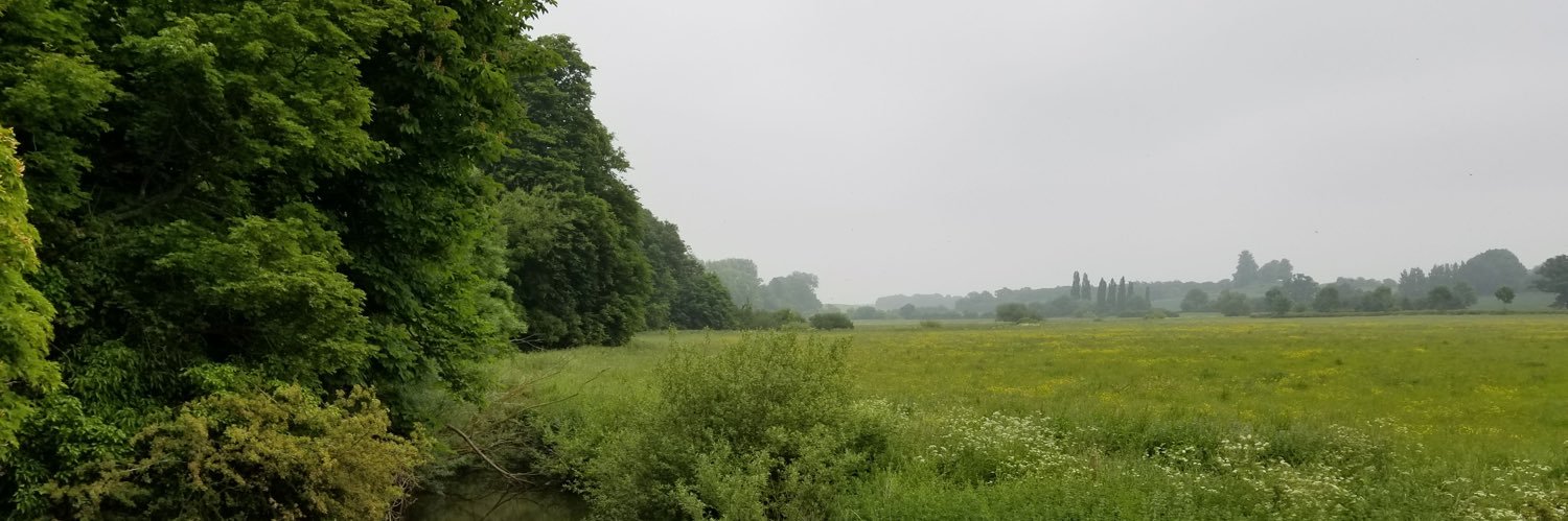 うにょーんちゃん banner