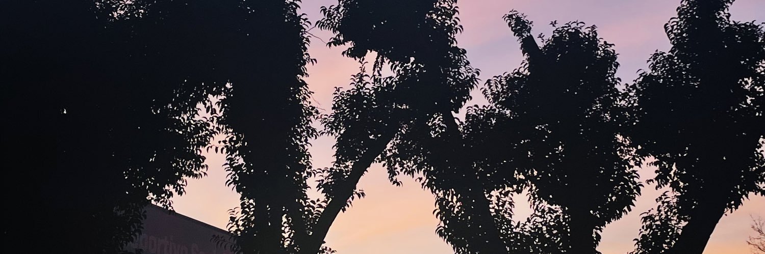 bravolipari's profile banner image