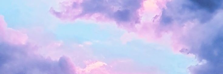 rllylaura's profile banner image