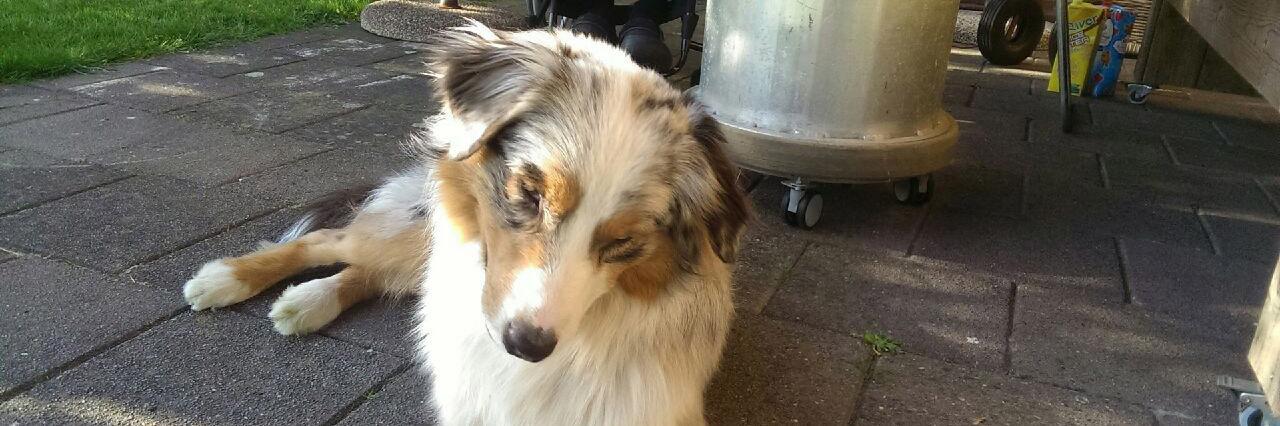 rlftjssns's profile banner image