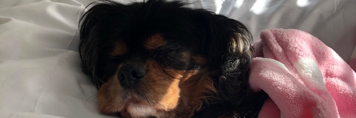 corrietyee's profile banner image