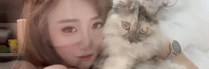 ogixfansffm's profile banner image