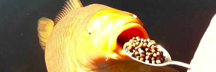 Mathmatical_'s profile banner image