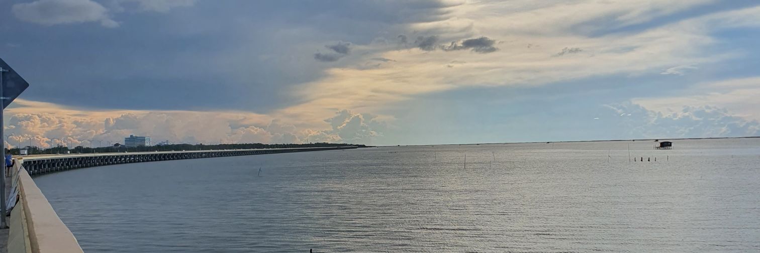 poseld's profile banner image
