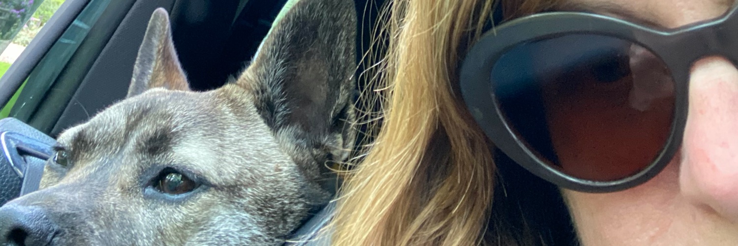 Jen Co9 🐕 ✈️🍷🎵 banner