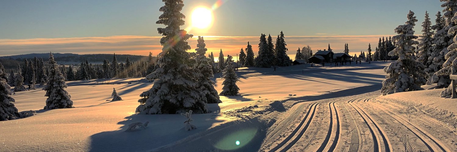 Miniskinstaden's profile banner image