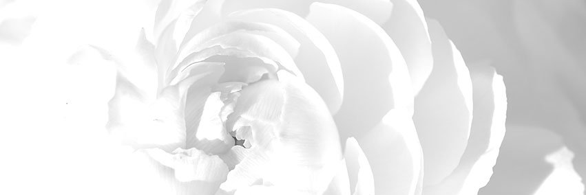 CrwnViic's profile banner image